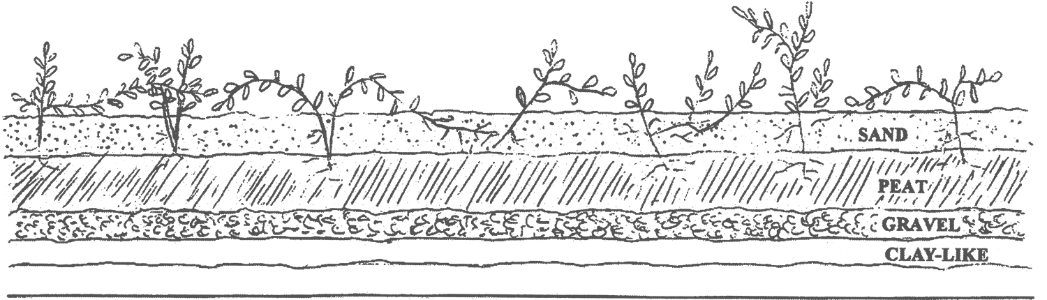 cross_section-2.png